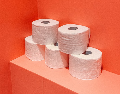 Everything You Need To Know About French Toilet Paper Transform My Home