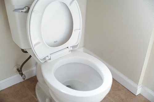 Inner thigh dirt on toilet seat