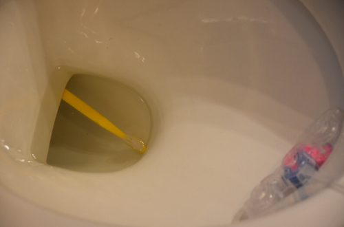 What happens if you put someone's toothbrush in the toilet