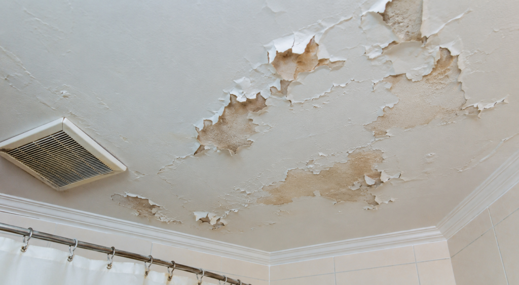 Why Is My Bathroom Paint Peeling? How to Fix it for Good